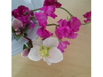 リラクゼーションサロン リッカ(Licca)/五感を癒す＊*