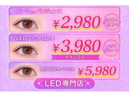 クレビア(CREBIA)の写真