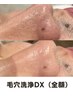 【毛穴の黒ずみ・詰まり改善】毛穴洗浄DX（全顔）初回体験¥8,000