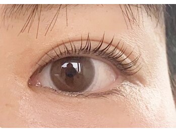 テイラー(Taylor)/ラッシュリフト　SATO