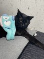 ブリス(BLiSS) 黒猫ちゃん飼ってます↑↑