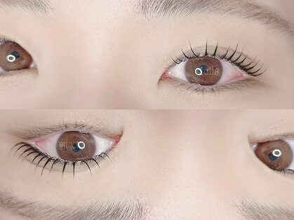シル アイラッシュサロン(cils)の写真