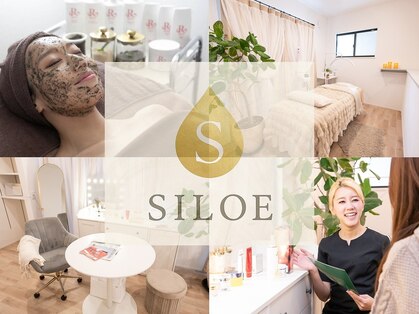 シロエルヴィ(SILOE)の写真