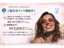 キラット 高知中万々店(Kiratt)