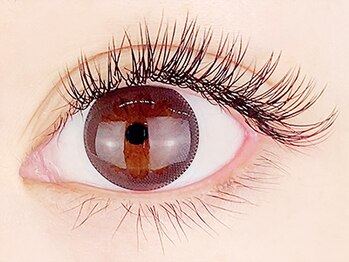 ビューティーサロン シュクレ大垣店(beauty salon shucre)/フラットラッシュ（正面から）