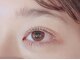 ステラァ(stellar)の写真
