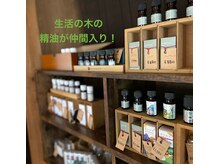 アビエスフィルマ(abies firma)