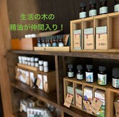 アビエスフィルマ(abies firma)