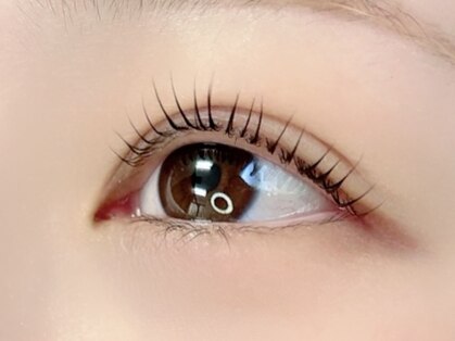 エル(elle.)の写真