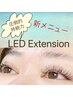 【新メニュー】圧倒的持続力のLEDまつ毛エクステ60本コース￥4000