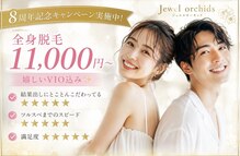ジュエルオーキッド(Jewel orchids)