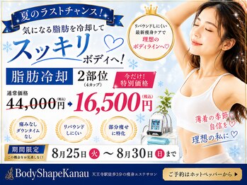 カナウ(Kanau)の写真/【話題の3D脂肪冷却導入サロン】ダルダル凸凹脂肪/あの頃のメリハリが欲しい/形を整えたい方にオススメ