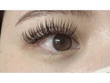 ナンバーニーゴー(N°25)/ダブルフラット120束