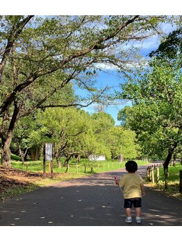 イブパパ(IBUPAPA)/トトロがいそうな森でした!