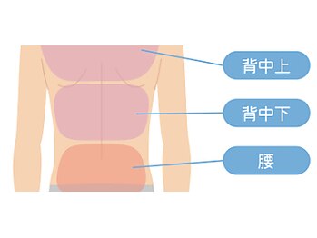 ボス 岐阜店(BOSS)/【メンズ脱毛/上半身・背中下】