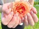 シズク(SiZUKU)の写真/【大人女性のリピーター多数】シンプルな淡いニュアンスカラーが高評☆ネイル全体の高級感UP!