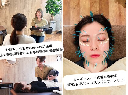 アウル ハリハリ(OWL- harihari)の写真