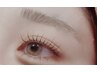 まつげパーマ(上下)