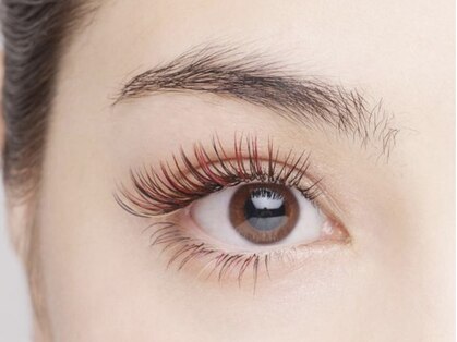 Algedi【アルゲディ】の写真