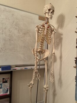 ワンプラス(OnePlus+)/姿勢の悪いボニー君