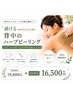 【背中ハーブ初回】背中のぶつぶつ・色素沈着改善｜剥離有りハーブピーリング