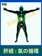 まぶ屋/肝の経絡内 気の循環イメージ