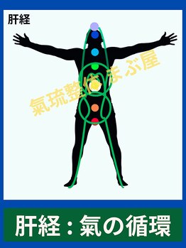 まぶ屋/肝の経絡内 気の循環イメージ