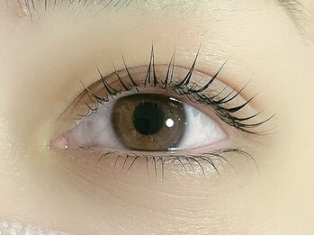 リファーレ 代々木(RIFARE)/根元からぱっちり!まつげパーマ