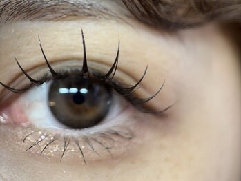 リノ(Lino)/マツエク/フラットラッシュ160本