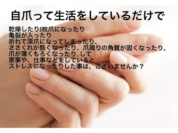 デュアスアール チャンドラ(DuasR chandra)/