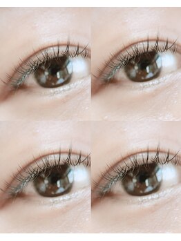 ポロカ(POLOKA)/フラットラッシュ 100本