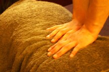 サロンドループ(salon de LOOP)