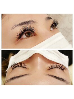 アルトロモンド/【LED160本フラットラッシュ】