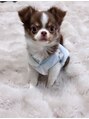 ハネ 自由が丘(Hane) 自由が丘はペットを飼っていらっしゃる方も沢山!愛犬です(^^)