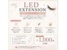 モアプラス(MORE + plus)