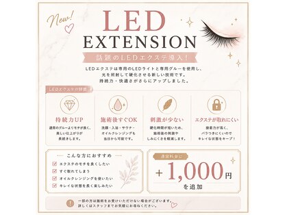 モアプラス(MORE ＋ plus)の写真