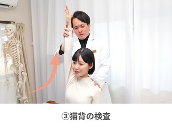 整体天使のはね 福山店/3.猫背の状態を検査します