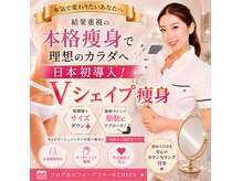 ルピナス ヒサヤ(LUPINUS hisaya)