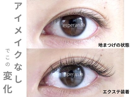 エスペランサ(esperanza)の写真