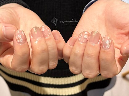 ジプソフィリア(gypsophila)の写真