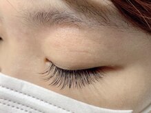 ネスト(Nest)/最高品質セーブル100本/Cカール