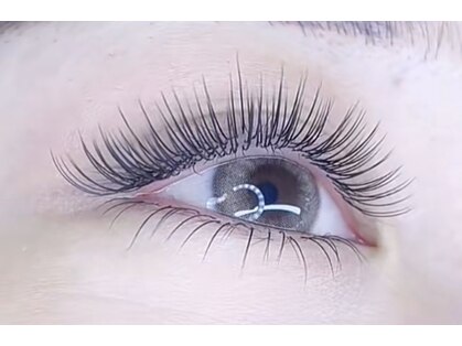 シト(Shito)の写真