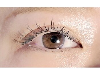 まつげちゃん☆ねいるちゃん/フラットラッシュ付け放題