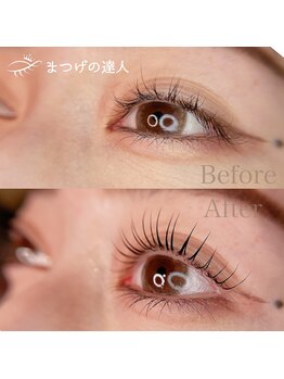 シピリカ(Shiprica.)/根元から立ち上がる