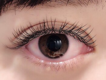 カラン 焼津店(CALIN)/フラットラッシュ120本