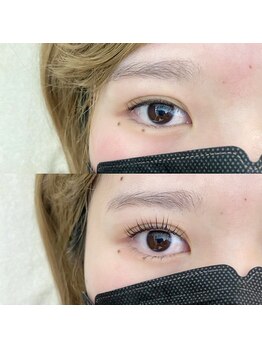 フランセス(Frances)/上下ラッシュリフト