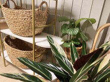 ヨモ(YOMO)/【太陽のお部屋】