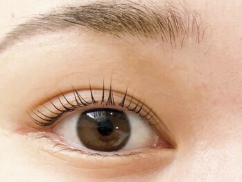 ディアリー(Dearly)/パリジェンヌ/まつげパーマ