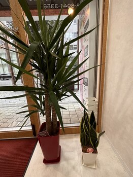 中央谷町整体院/リラックスできる環境で体の改善