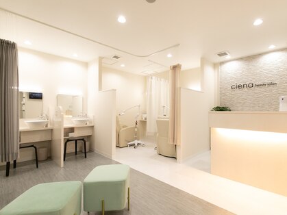 シエナ(ciena)の写真